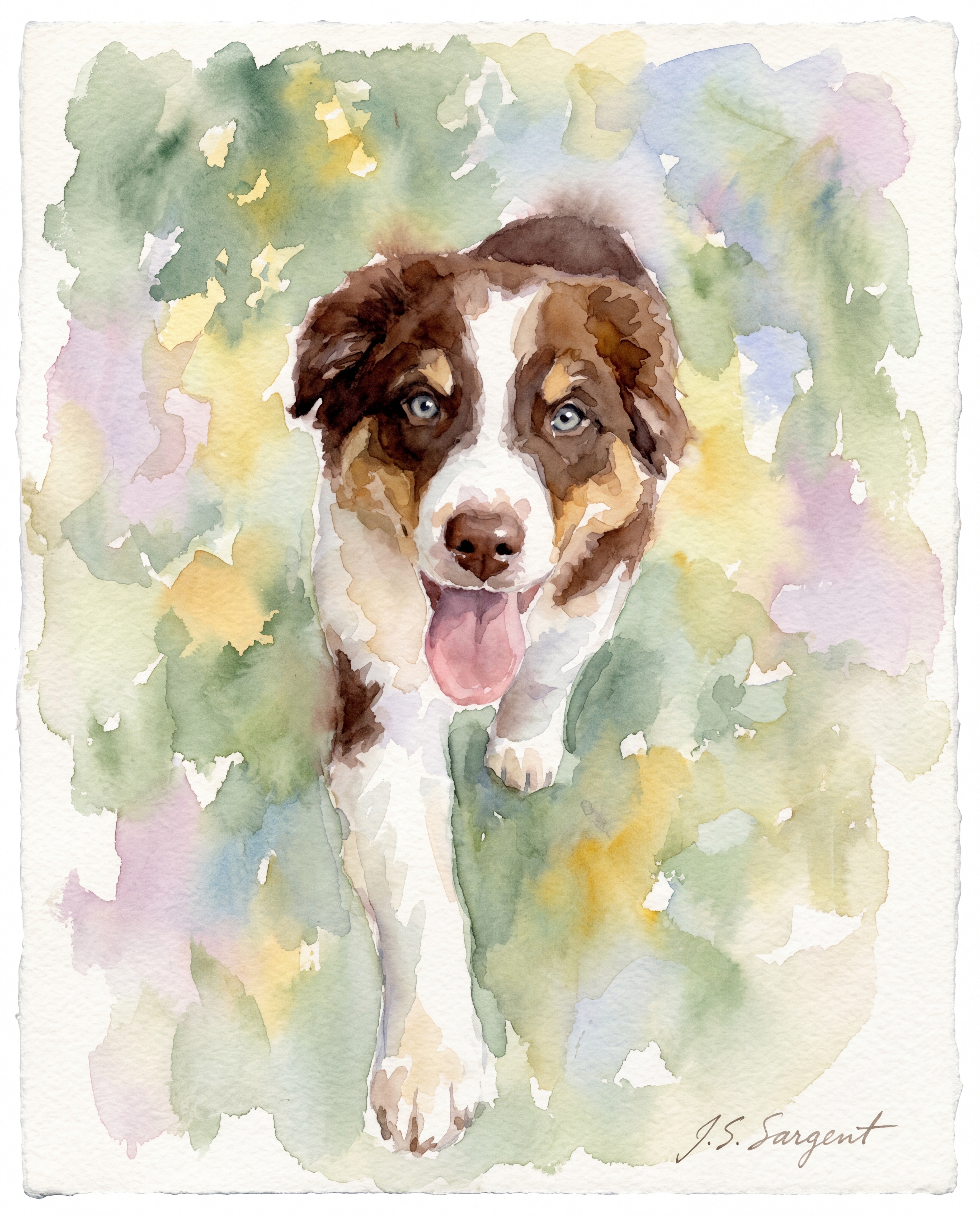Duke in watercolor style